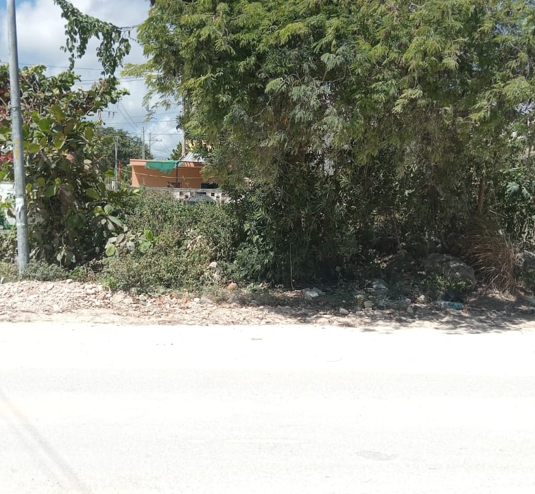 LOTE EN VENTA EN PUERTO MORELOS