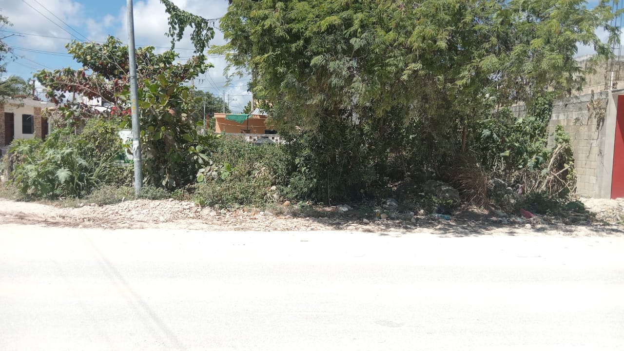 LOTE EN VENTA EN PUERTO MORELOS