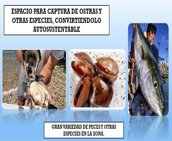 Terreno Turistico, 275 HAS San Quintin, B.C.