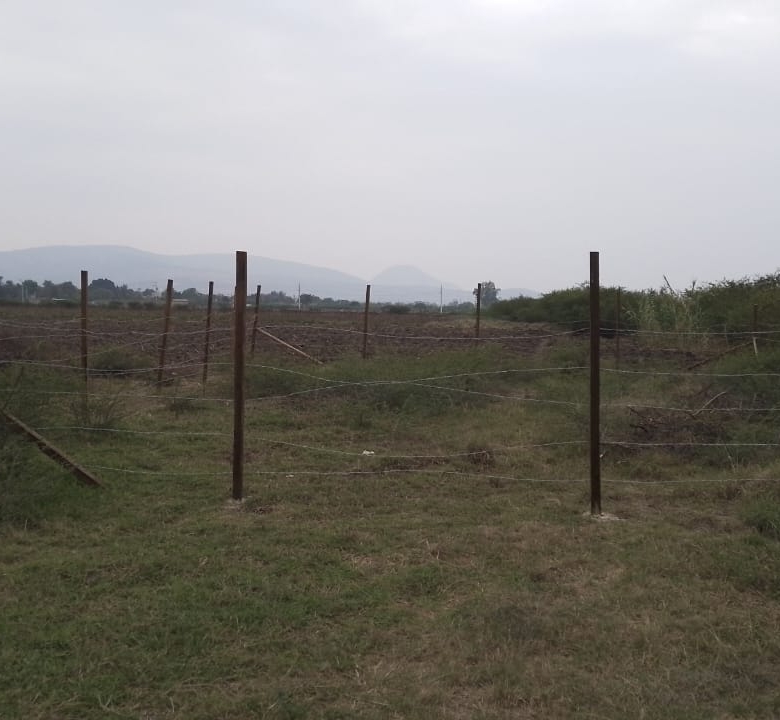 TERRENO EJIDAL EN PARAJE TABLA DE LA LAGUNA VILLA DE ZAACHILA