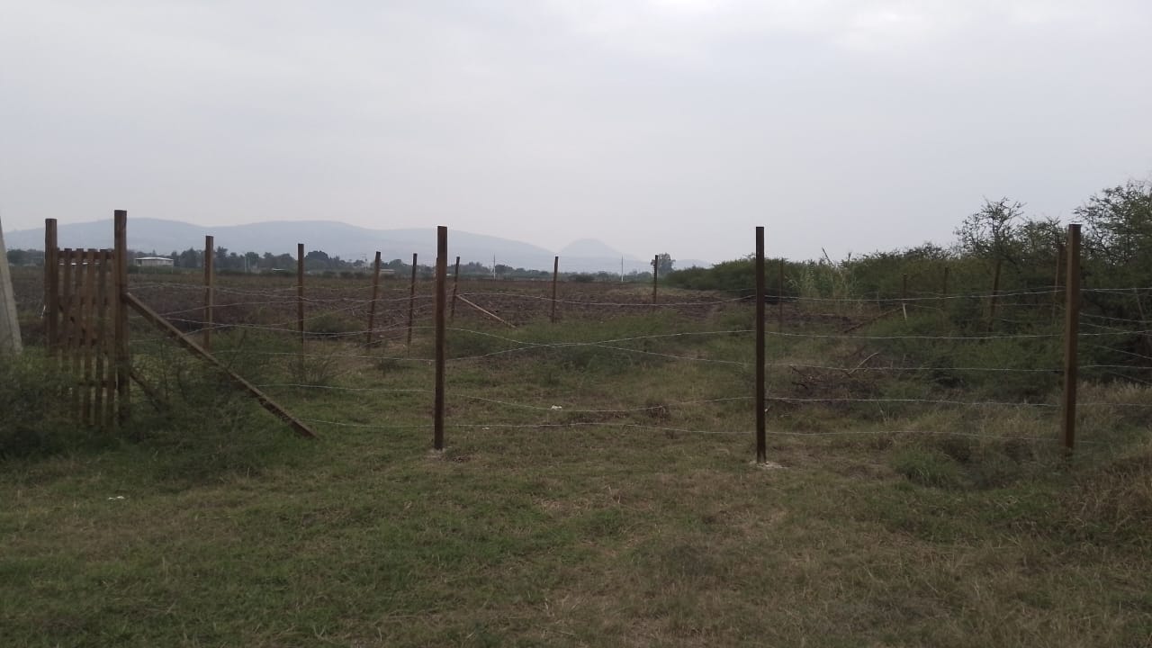 PHOTO-2026-05-05-20-12-40-2 TERRENO EJIDAL EN PARAJE TABLA DE LA LAGUNA VILLA DE ZAACHILA