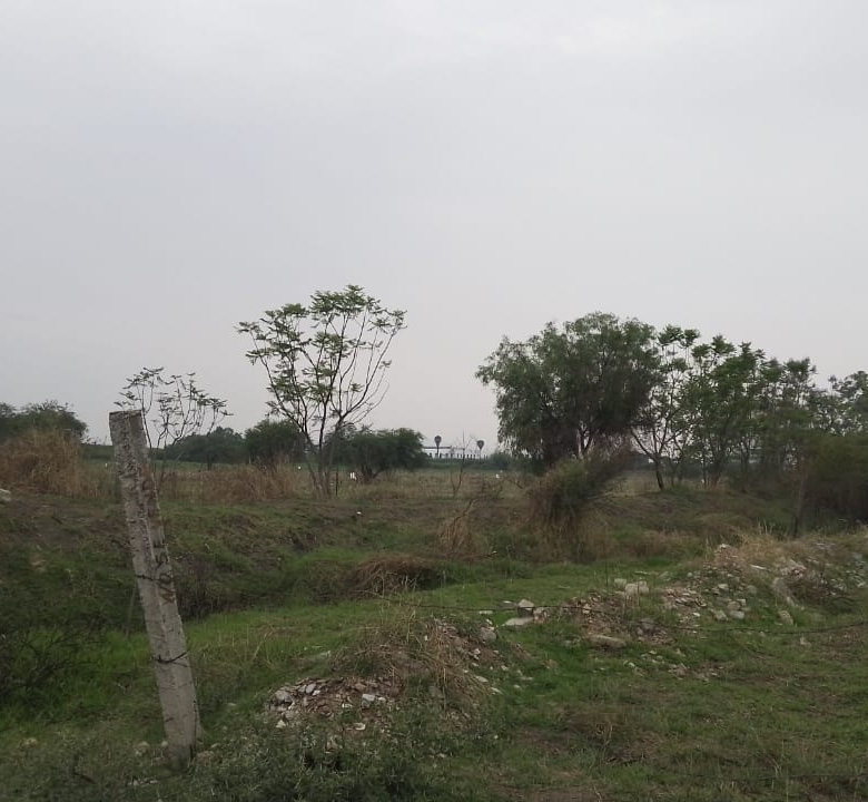 TERRENO EJIDAL EN PARAJE TABLA DE LA LAGUNA VILLA DE ZAACHILA