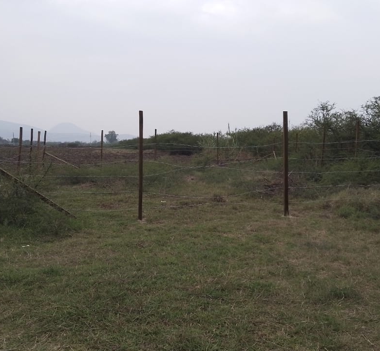 TERRENO EJIDAL EN PARAJE TABLA DE LA LAGUNA VILLA DE ZAACHILA