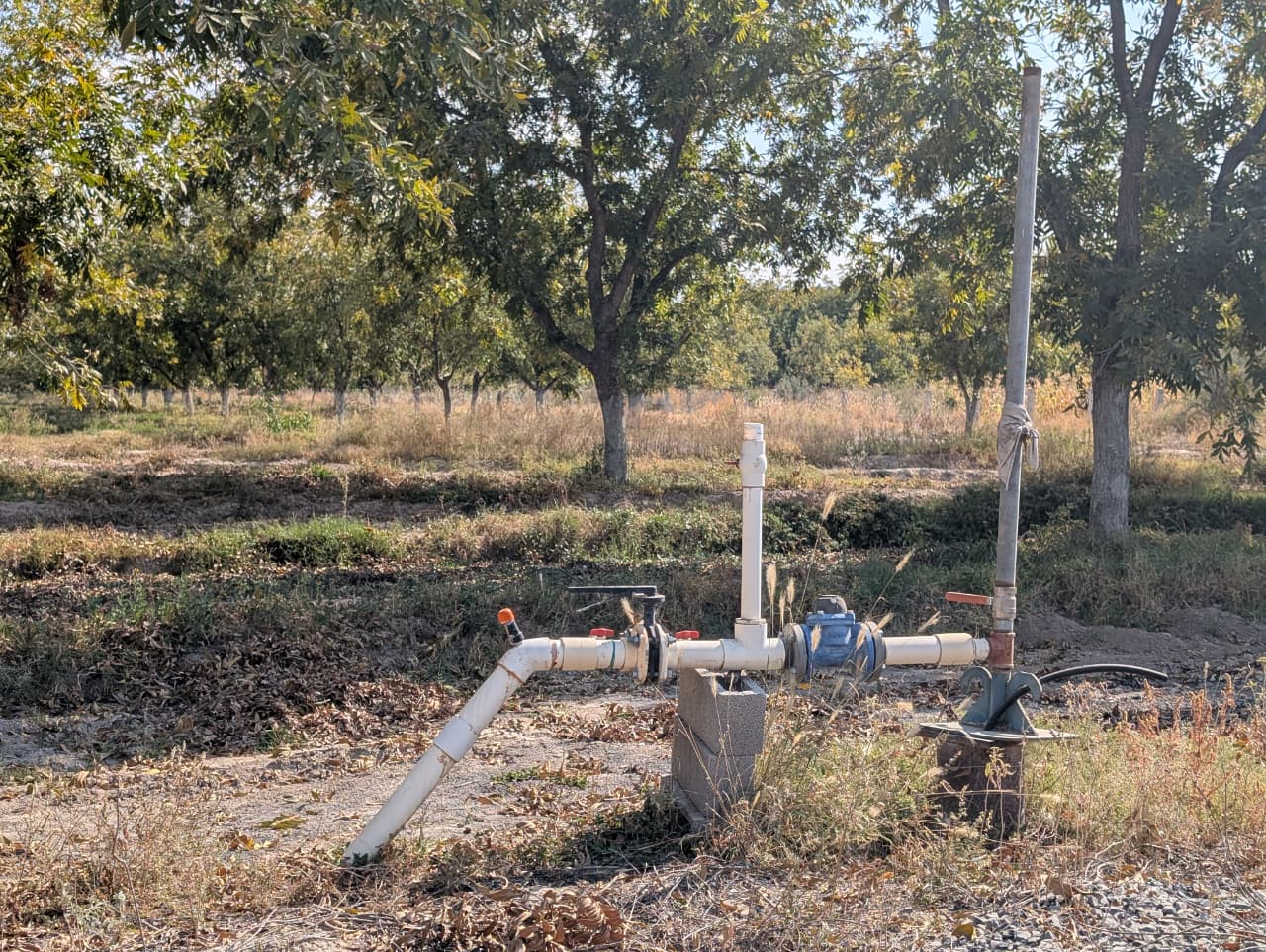 Huerta de 18,000 metros 2 en Ejido Parras