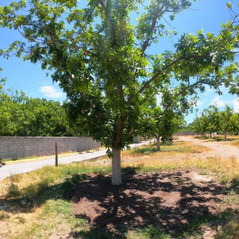 Terreno en venta de 220m² en Calle Mina