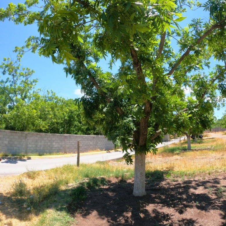 Terreno en venta de 220m² en Calle Mina