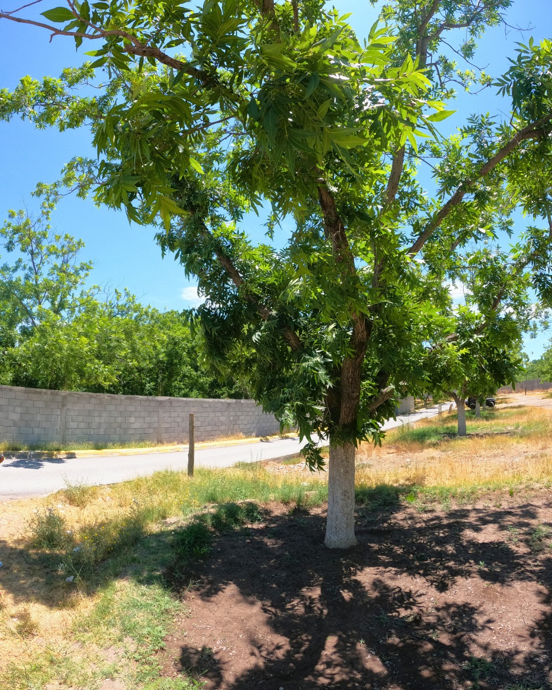 Terreno en venta de 220m² en Calle Mina