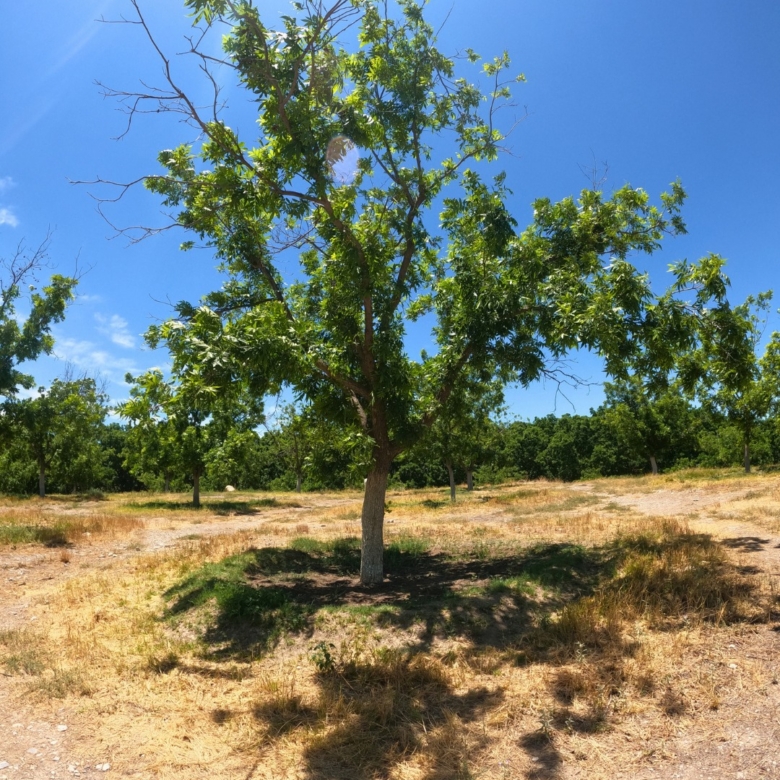 Terreno en venta de 220m² en Calle Mina