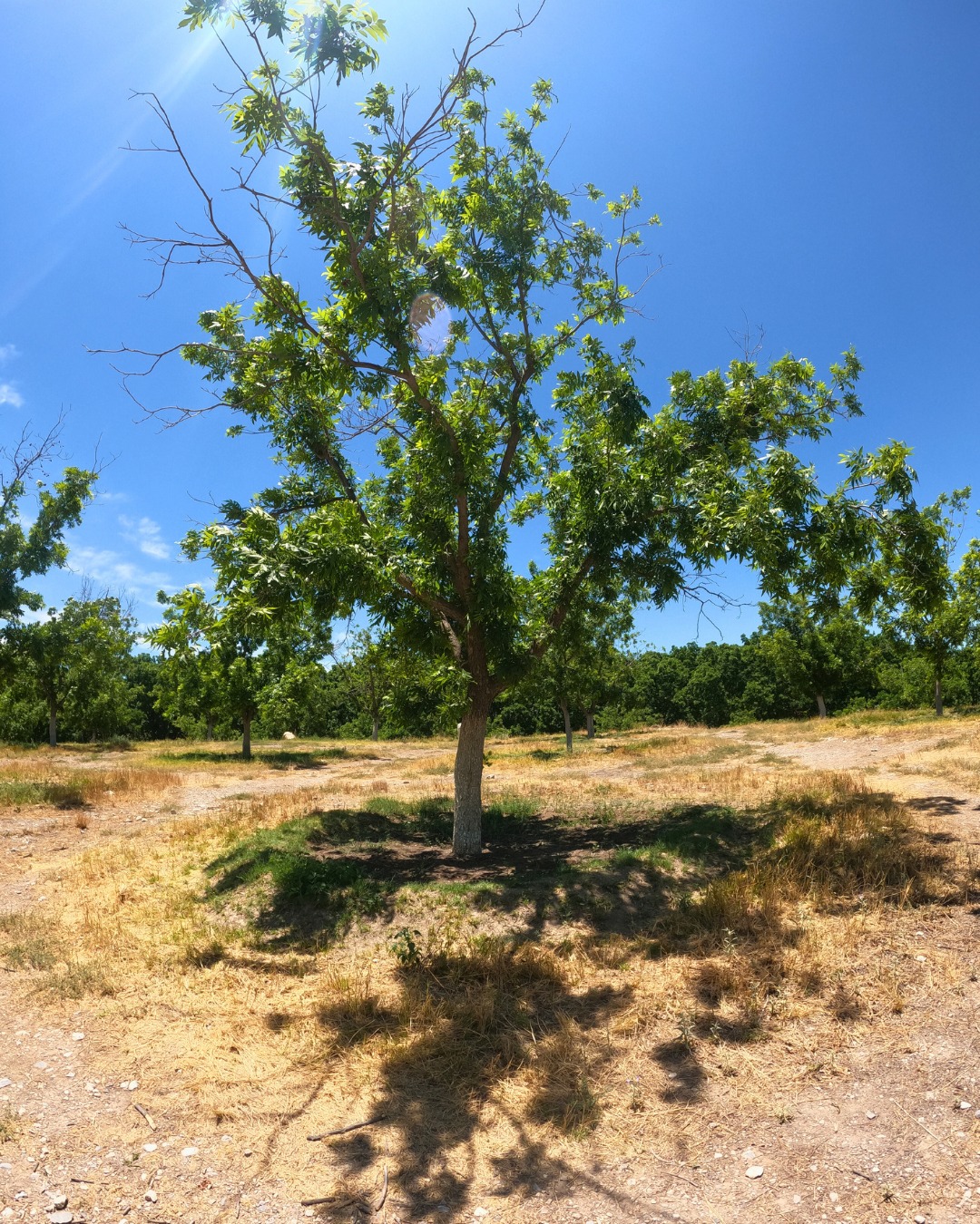 Terreno en venta de 220m² en Calle Mina