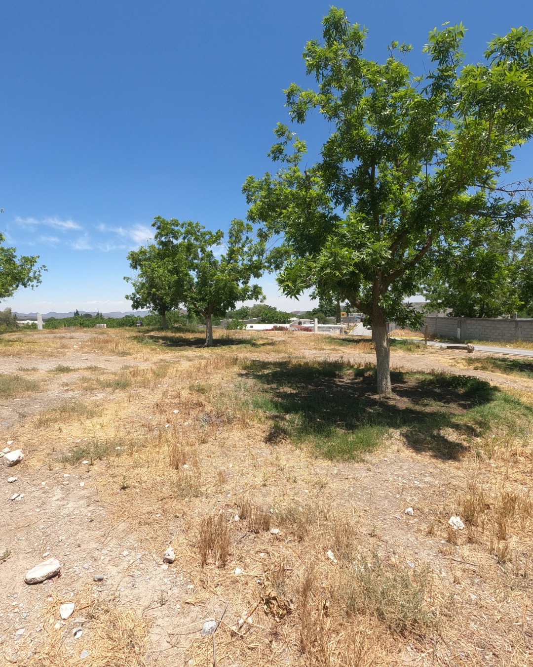 Terreno en venta de 220m² en Calle Mina
