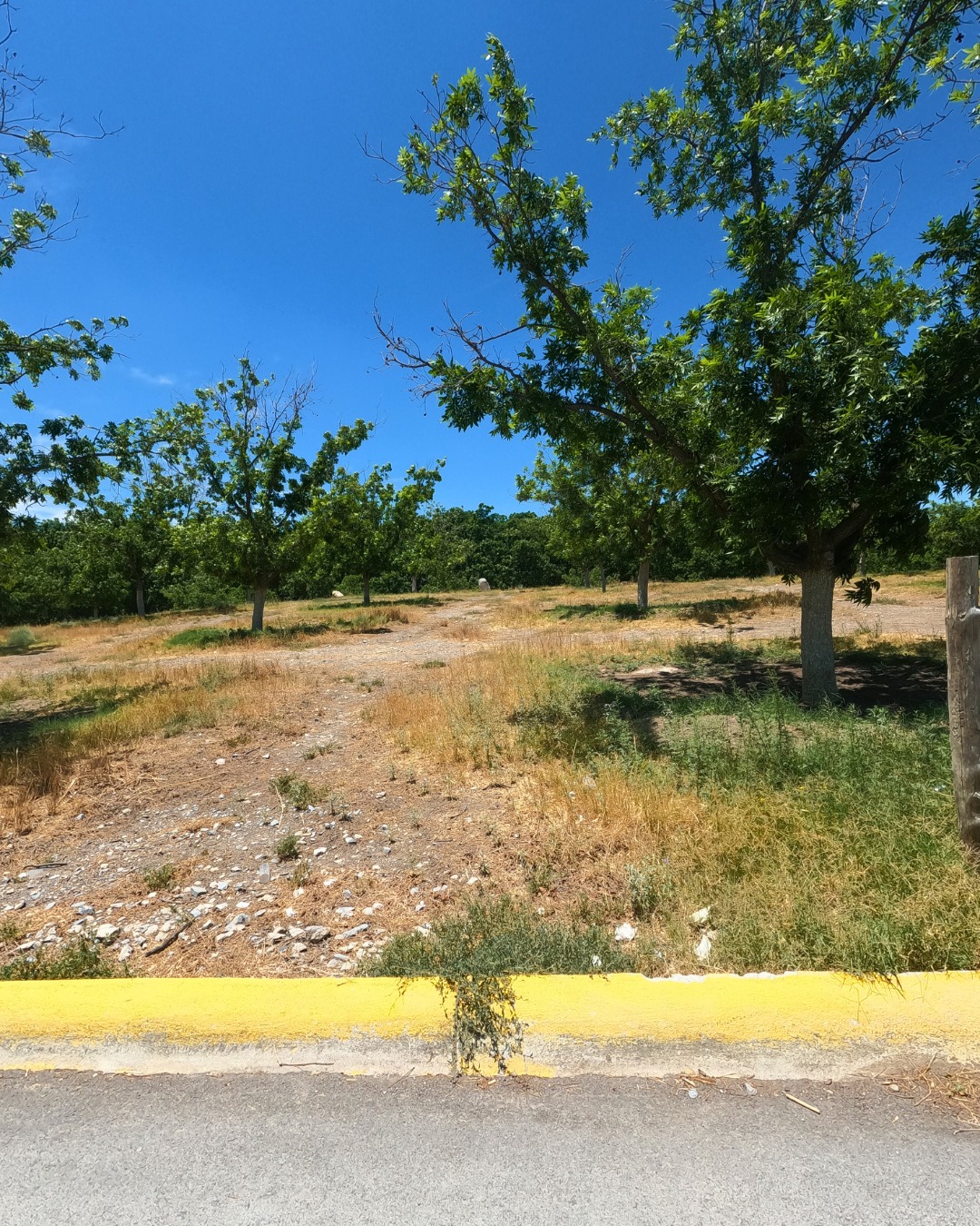 Terreno en venta de 220m² en Calle Mina