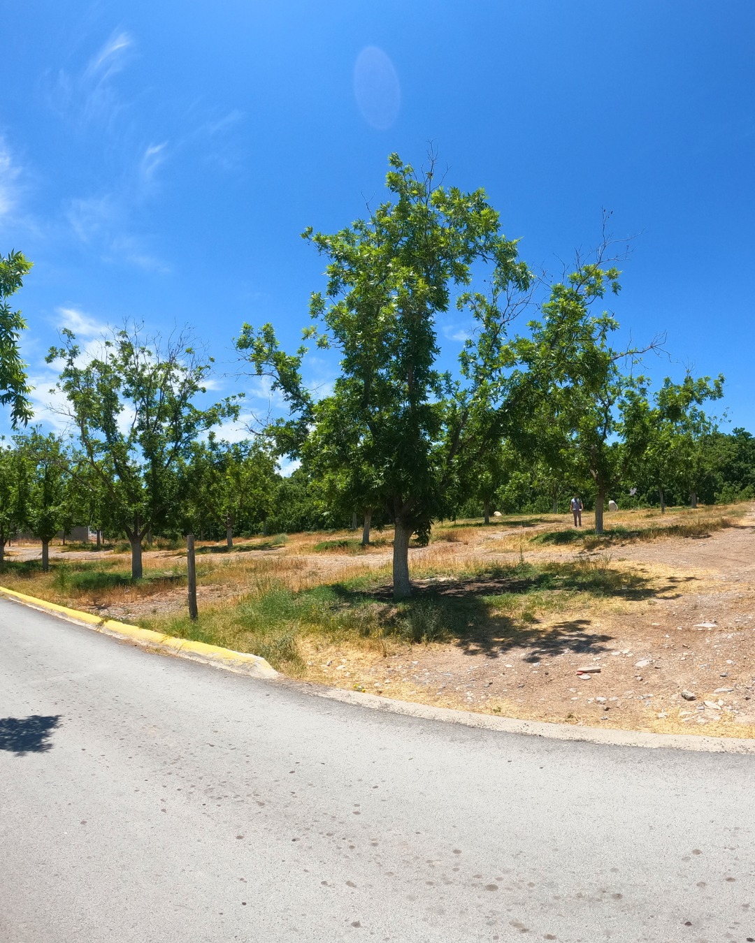 Terreno en venta de 220m² en Calle Mina