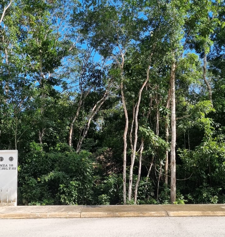 Lote residencial en venta/ Zona exclusiva/ Listo para escriturar