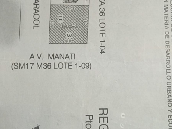 LOTE EN VENTA EN PUERTO MORELOS