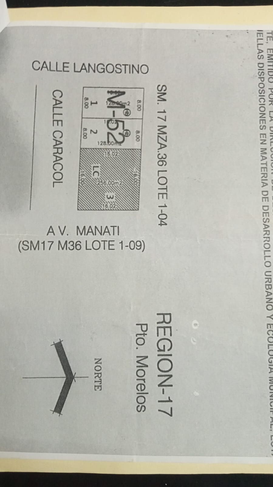 LOTE EN VENTA EN PUERTO MORELOS