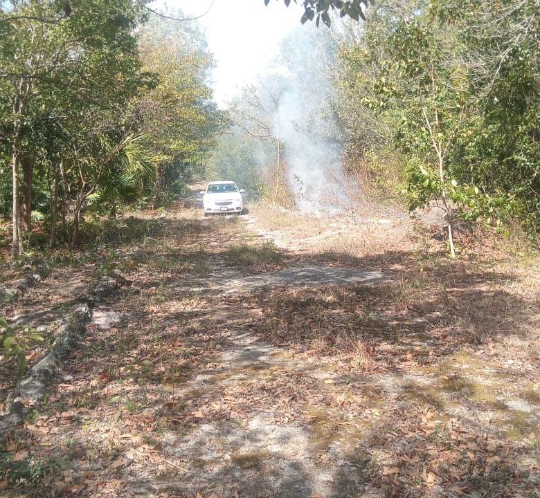 TERRENO EN VENTA – 25 HECTÁREAS IDEAL PARA DESARROLLO E INVERSIÓN 🌿🏗️