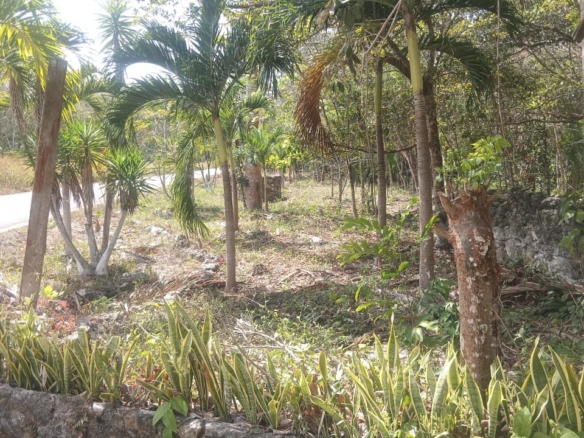 TERRENO EN VENTA – 25 HECTÁREAS IDEAL PARA DESARROLLO E INVERSIÓN 🌿🏗️