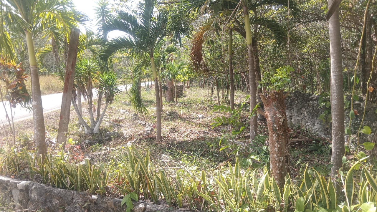 TERRENO EN VENTA – 25 HECTÁREAS IDEAL PARA DESARROLLO E INVERSIÓN 🌿🏗️