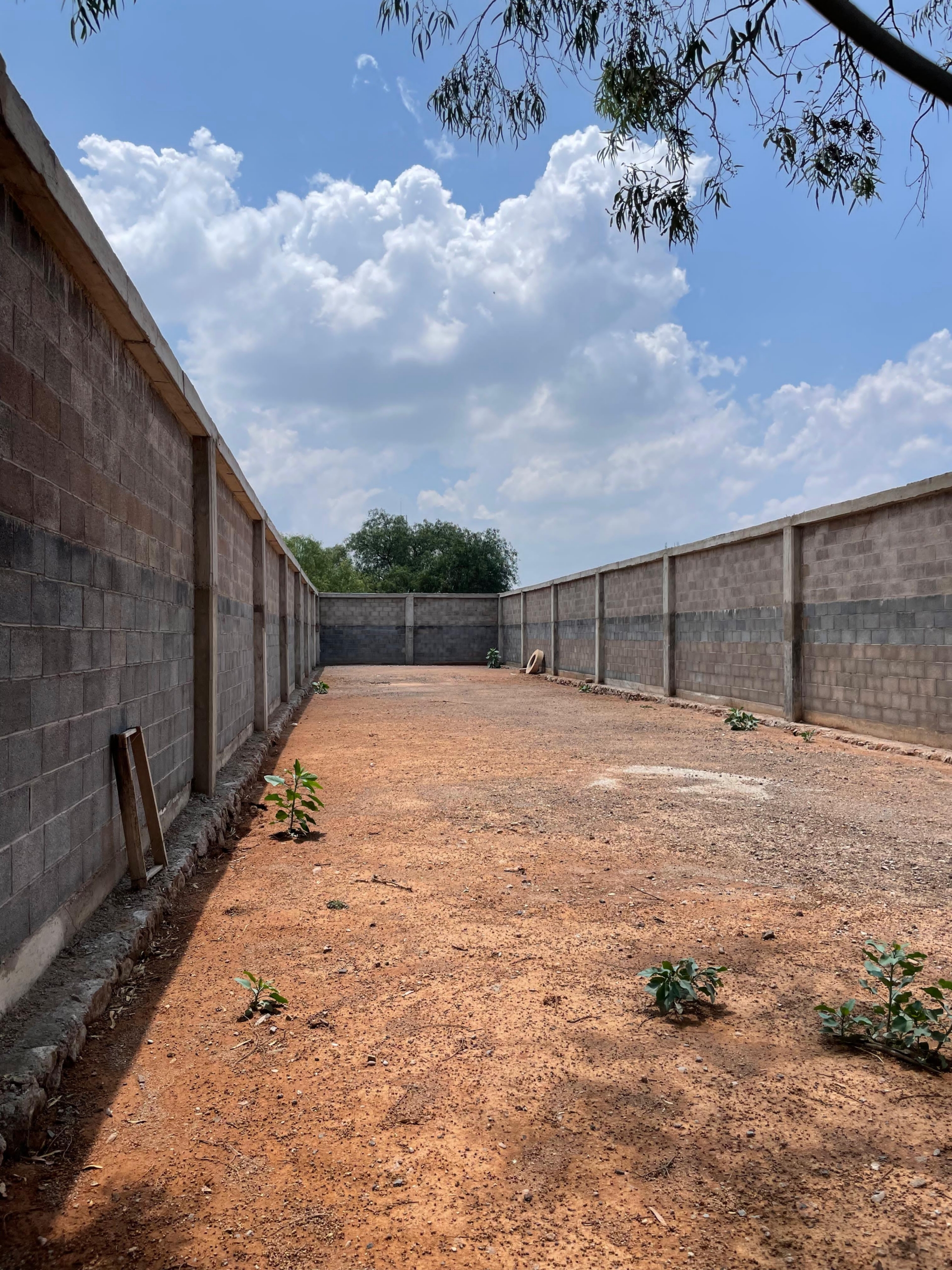 TERRENOS EN VENTA Y/O RENTA
