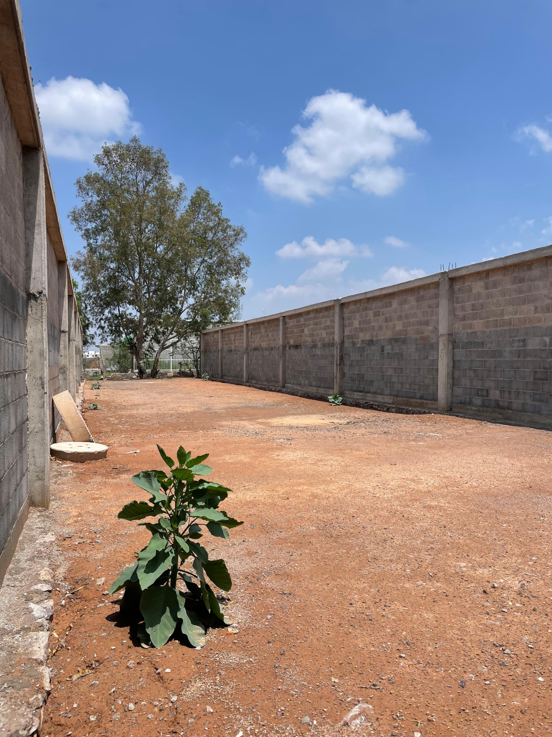 TERRENOS EN VENTA Y/O RENTA