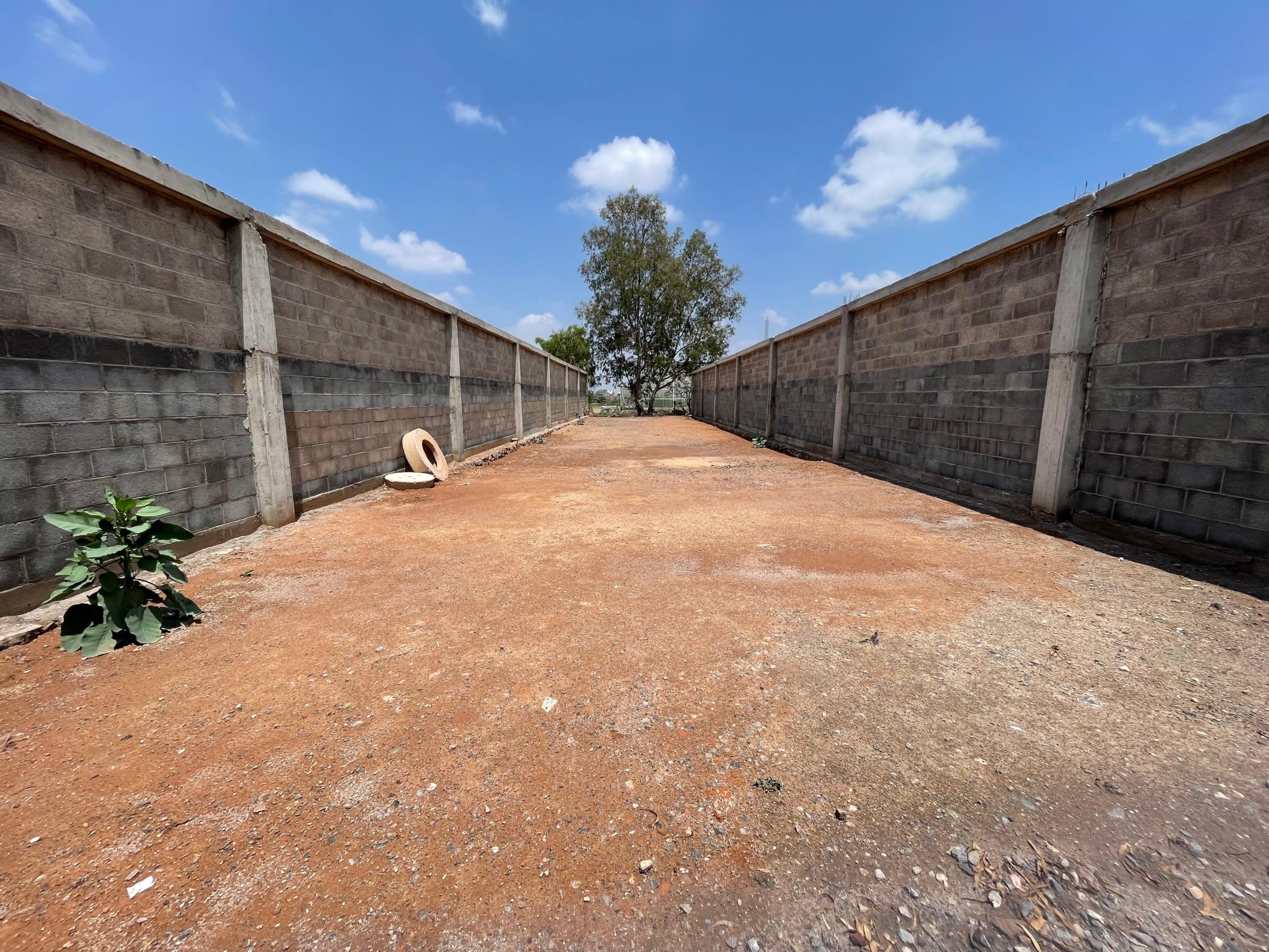 TERRENOS EN VENTA Y/O RENTA