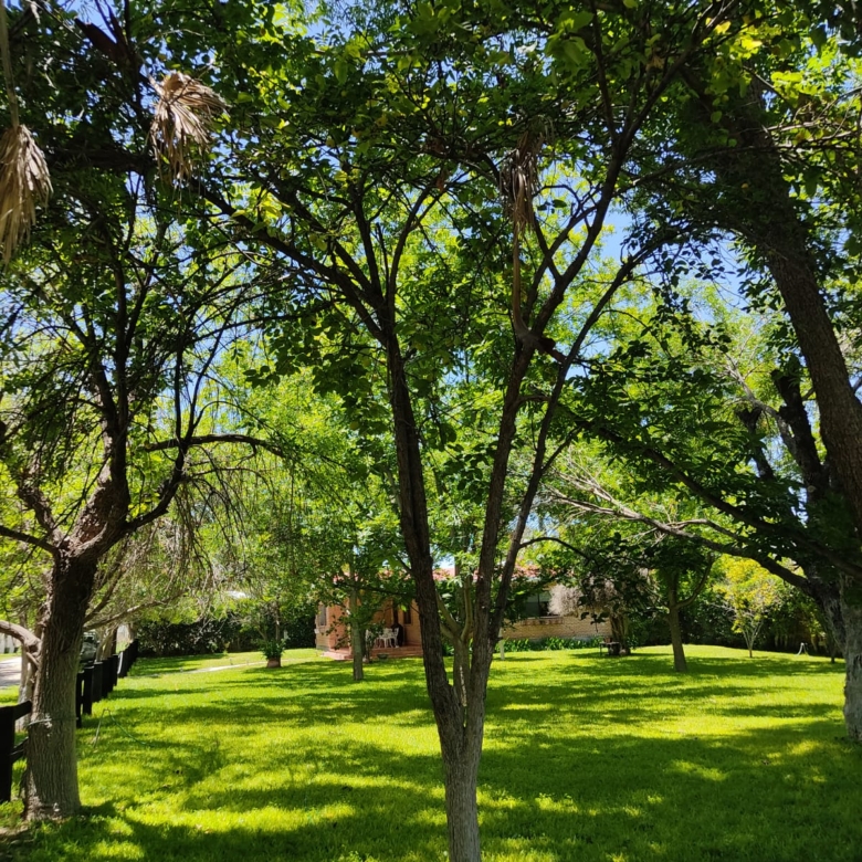 Casa en renta, Rincón del Montero