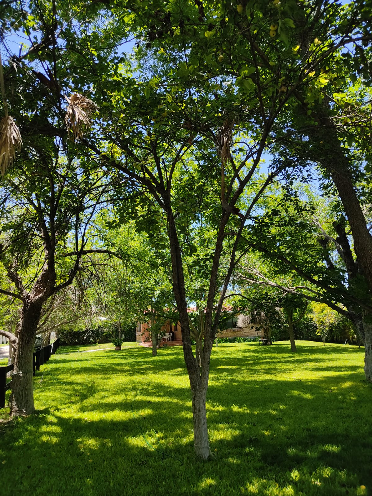 Casa en renta, Rincón del Montero