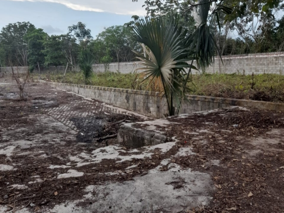 Predio en Remate sobre Carretera Nuevo Xcán | 5,971 m² | Lázaro Cárdenas, Quintana Roo