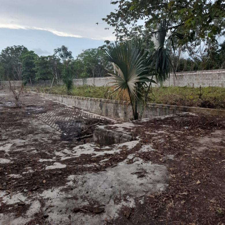 Predio en Remate sobre Carretera Nuevo Xcán | 5,971 m² | Lázaro Cárdenas, Quintana Roo