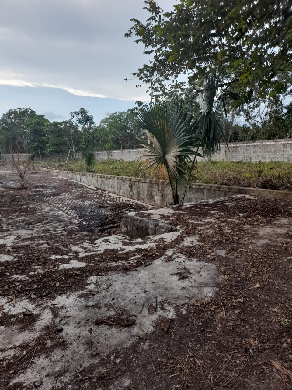 Predio en Remate sobre Carretera Nuevo Xcán | 5,971 m² | Lázaro Cárdenas, Quintana Roo