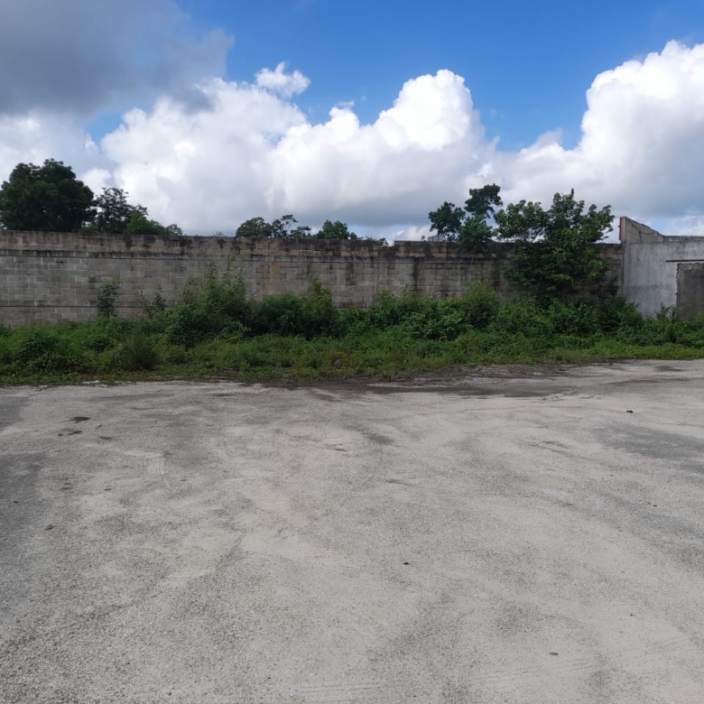 Predio en Remate sobre Carretera Nuevo Xcán | 5,971 m² | Lázaro Cárdenas, Quintana Roo