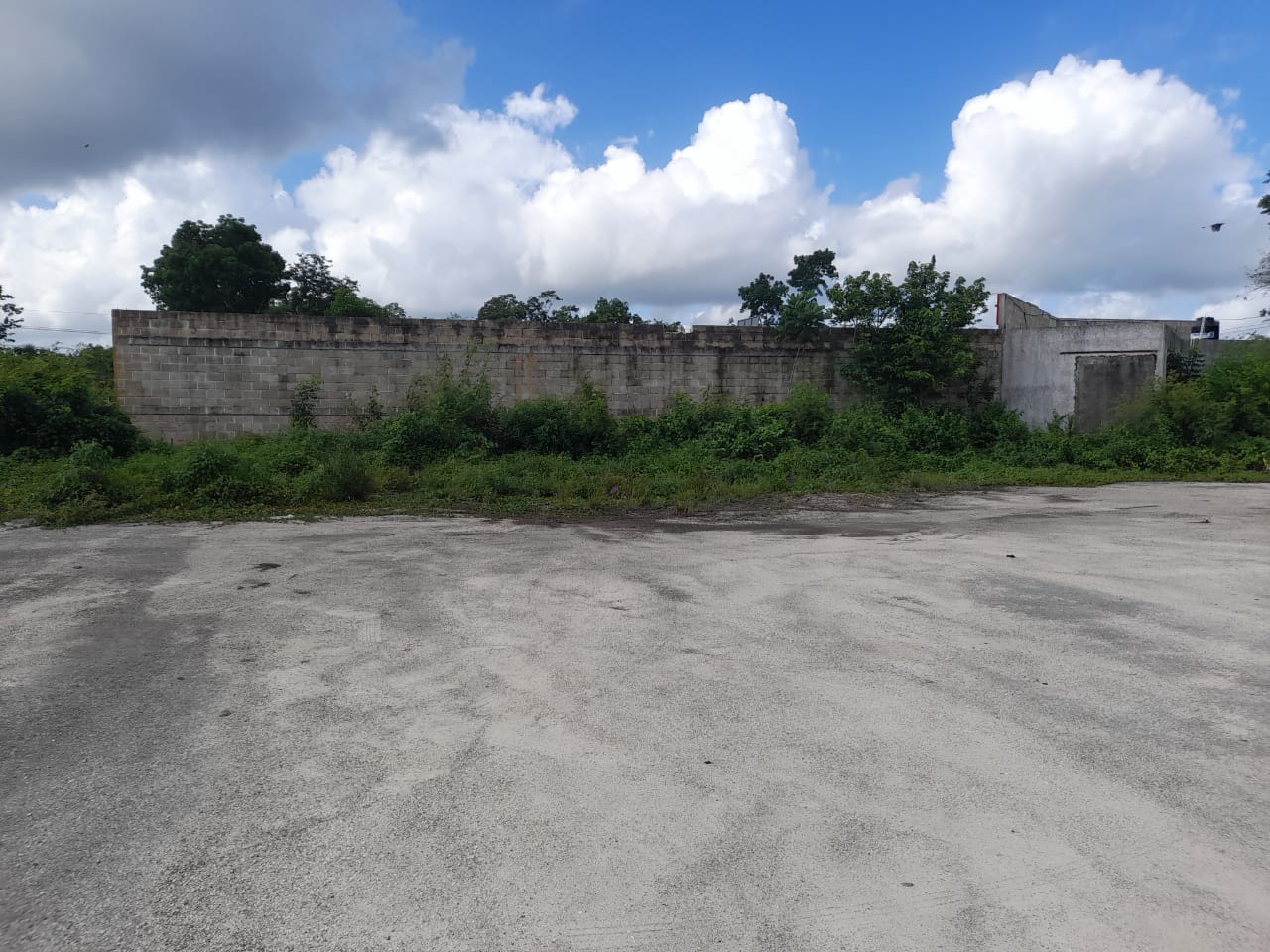 Predio en Remate sobre Carretera Nuevo Xcán | 5,971 m² | Lázaro Cárdenas, Quintana Roo