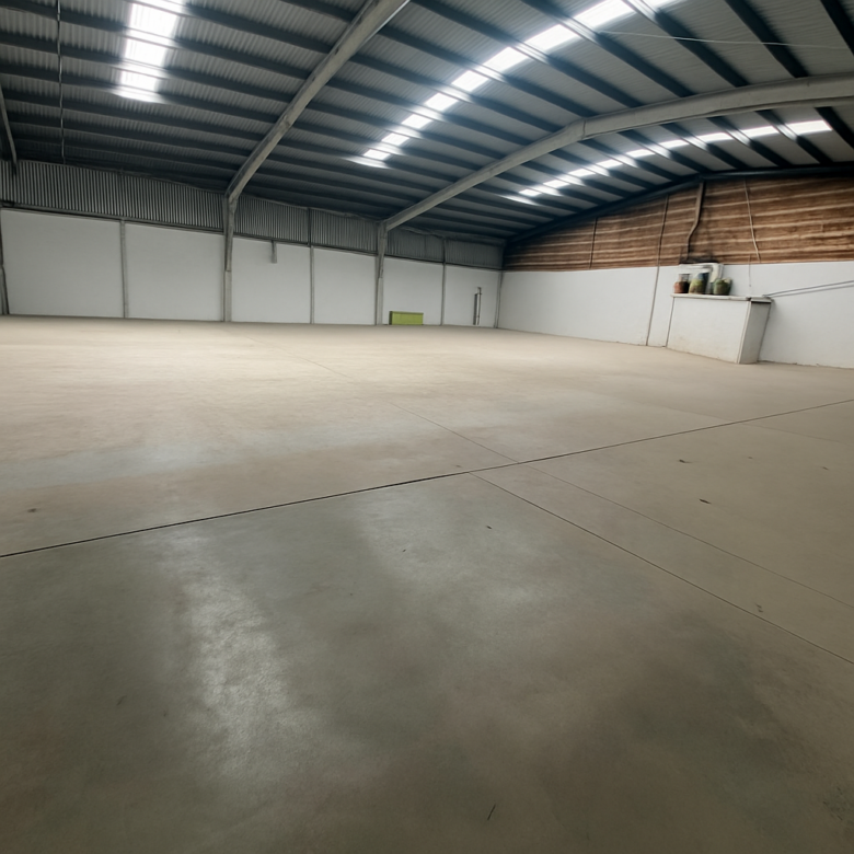 BODEGA EN CARRETRA CRISTOBAL COLON 1600 M2