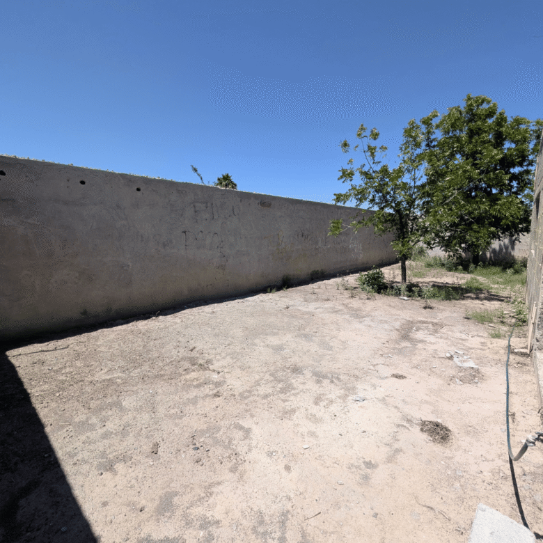 Terreno en venta en colonia Palmeras de 400 m2