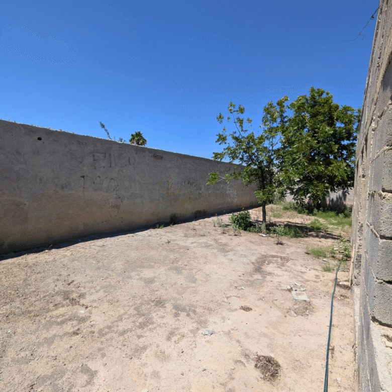 Terreno en venta en colonia Palmeras de 400 m2