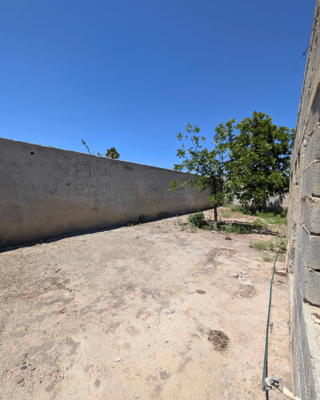 198 Terreno en venta en colonia Palmeras de 400 m2