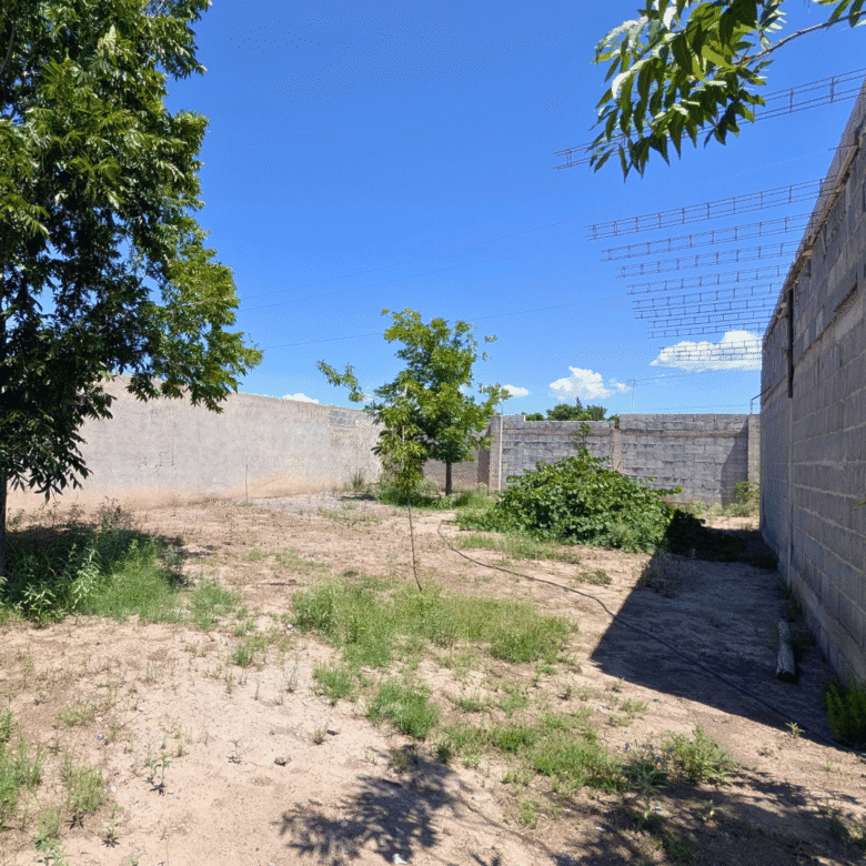 Terreno en venta en colonia Palmeras de 400 m2