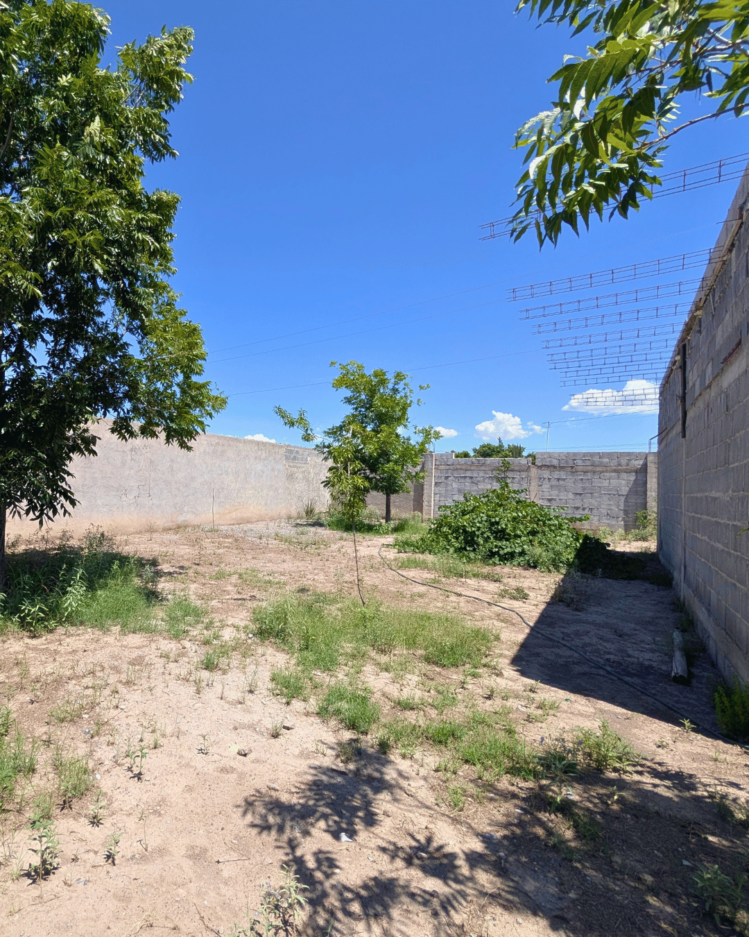 199 Terreno en venta en colonia Palmeras de 400 m2