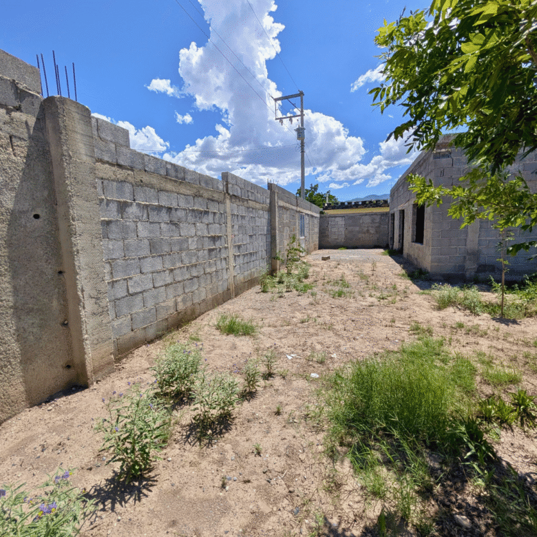 Terreno en venta en colonia Palmeras de 400 m2