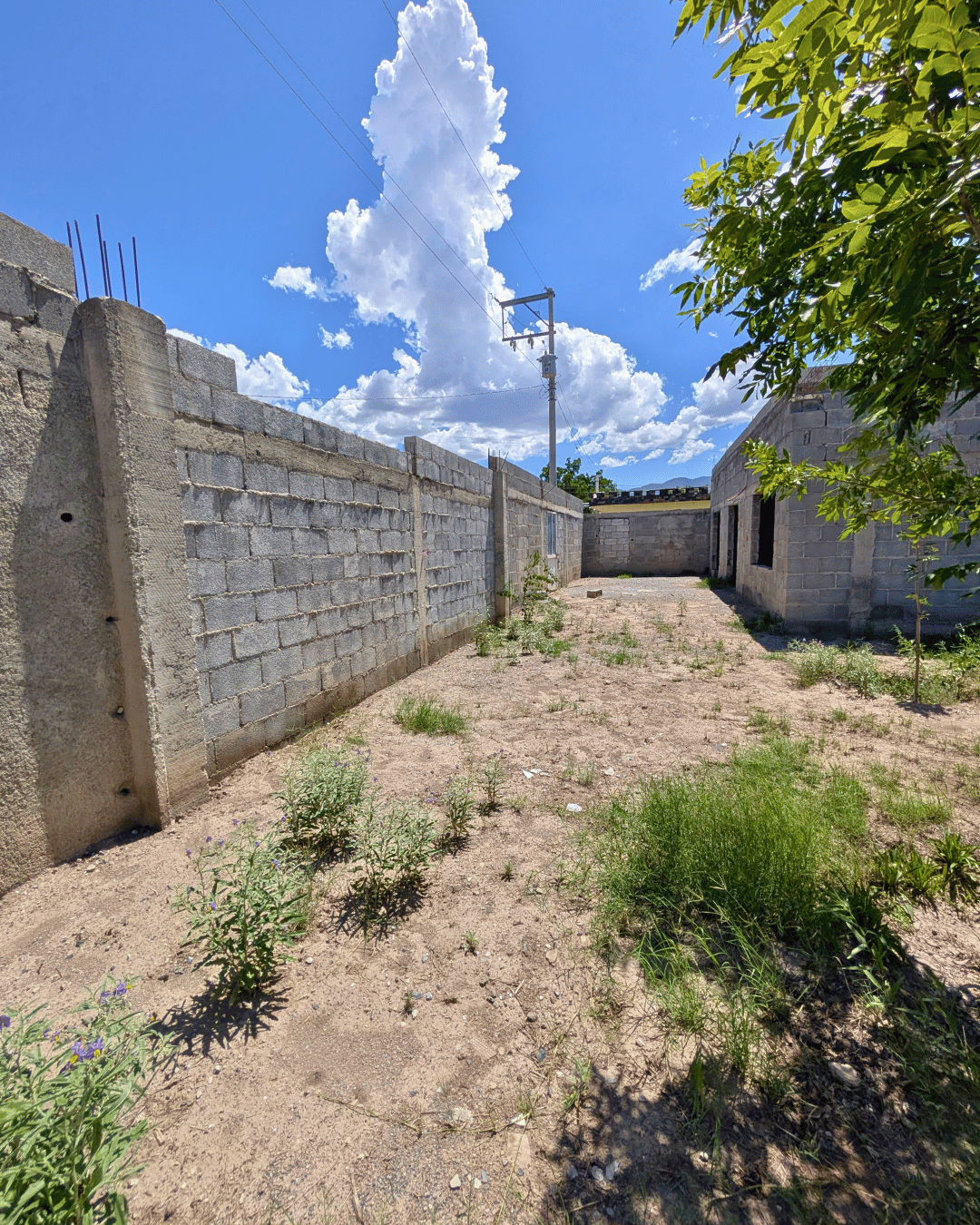 200 Terreno en venta en colonia Palmeras de 400 m2