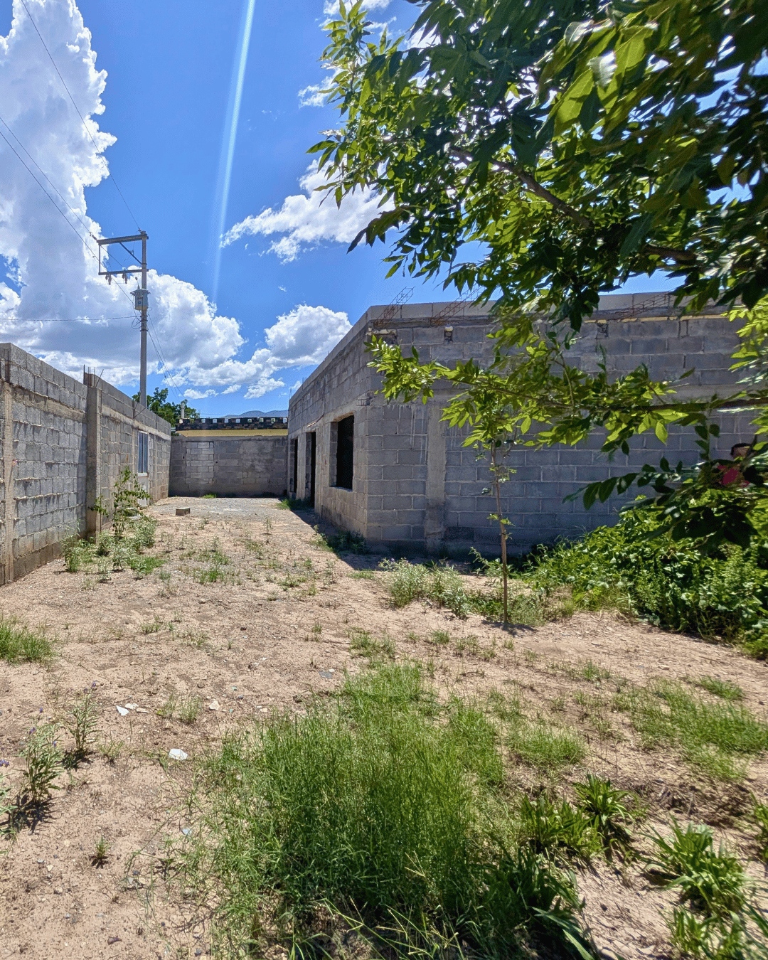 201 Terreno en venta en colonia Palmeras de 400 m2