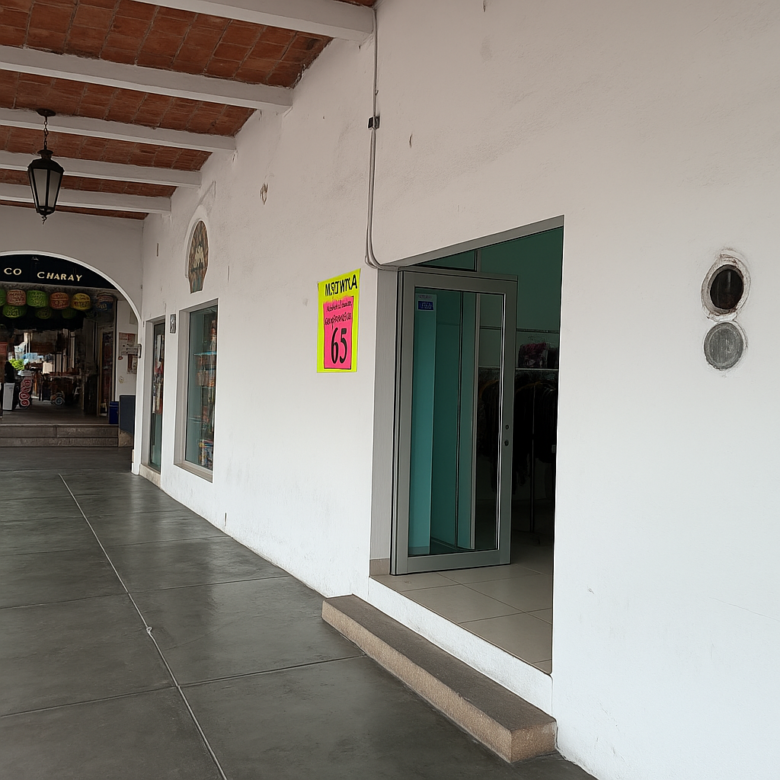 LOCAL EN LOS PORTALES DE TLACOLULA 160 M2.