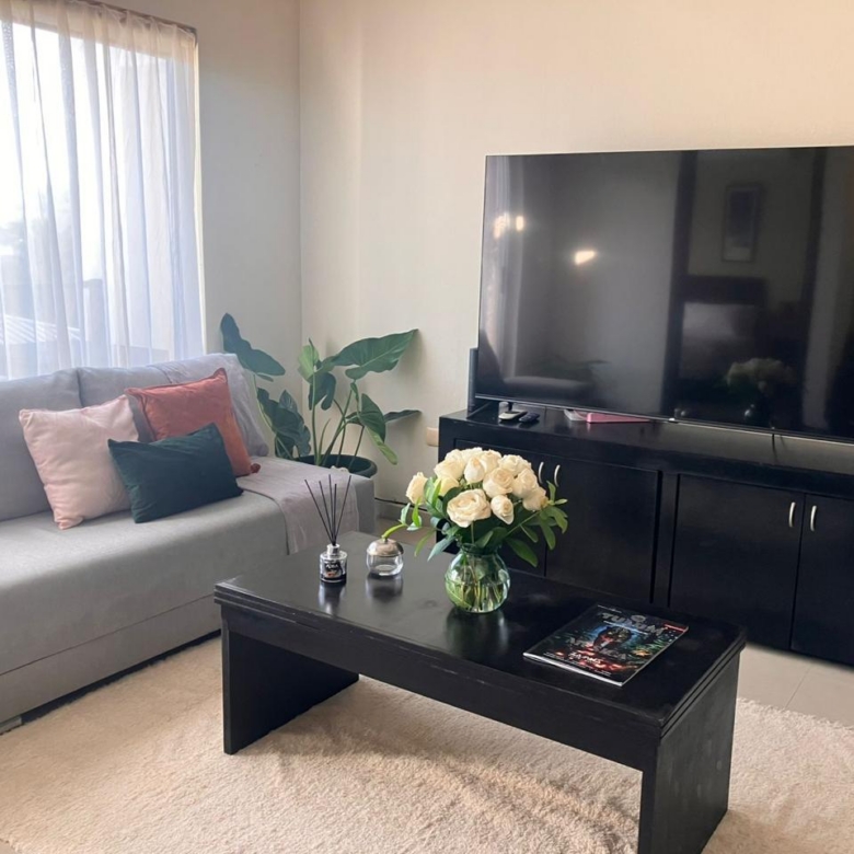 RENTA DEPARTAMENTO PENTHOUSE CENTRO PLAYA DEL CARMEN