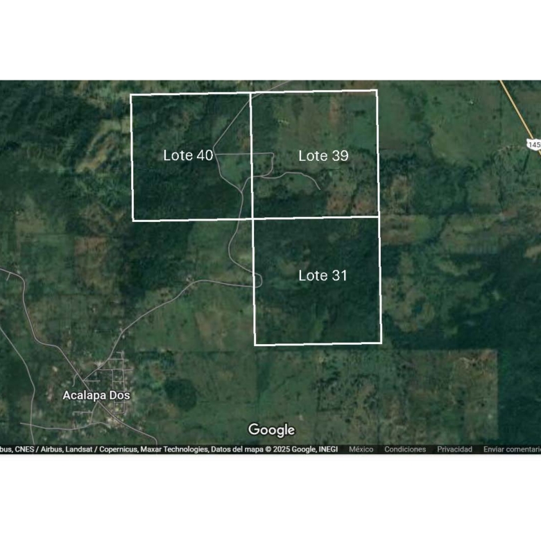 Rancho Productivo de 300 Hectáreas | Región Olmeca | Oportunidad Agroindustrial