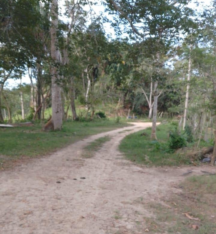 Rancho Productivo de 300 Hectáreas | Región Olmeca | Oportunidad Agroindustrial