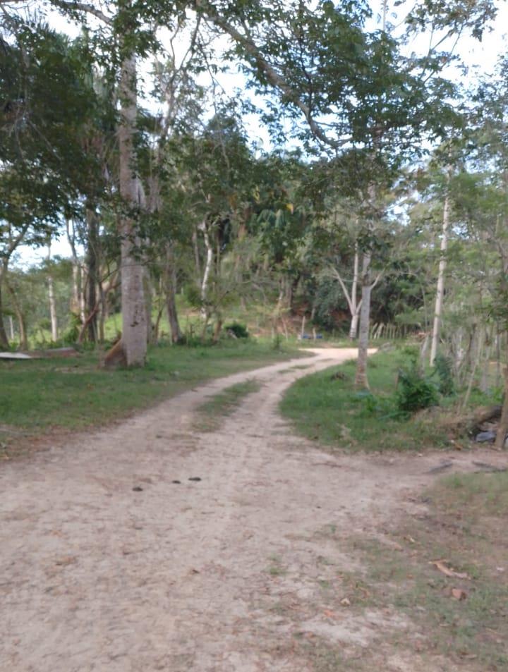 Rancho Productivo de 300 Hectáreas | Región Olmeca | Oportunidad Agroindustrial