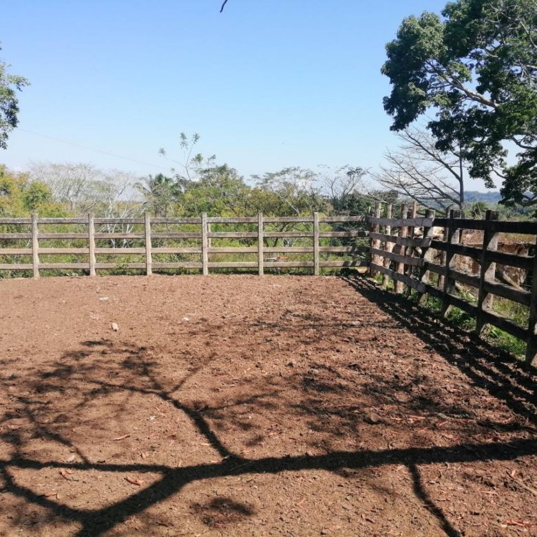 Rancho Productivo de 300 Hectáreas | Región Olmeca | Oportunidad Agroindustrial