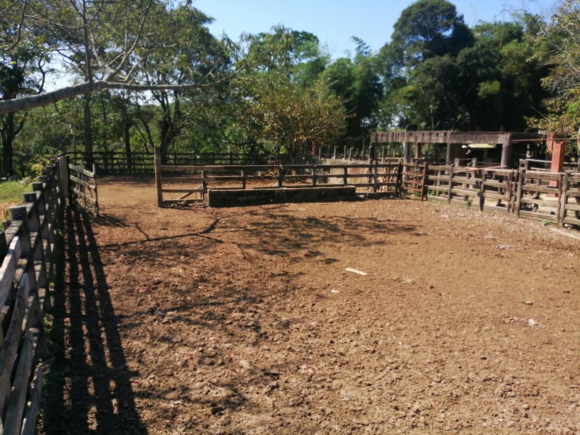 Rancho Productivo de 300 Hectáreas | Región Olmeca | Oportunidad Agroindustrial