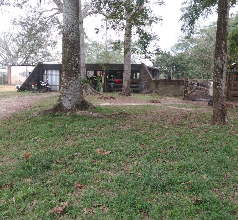 Rancho Productivo de 300 Hectáreas | Región Olmeca | Oportunidad Agroindustrial