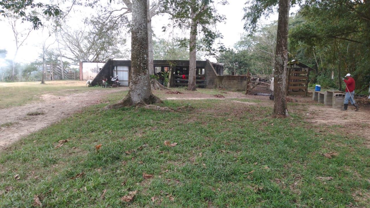 Rancho Productivo de 300 Hectáreas | Región Olmeca | Oportunidad Agroindustrial